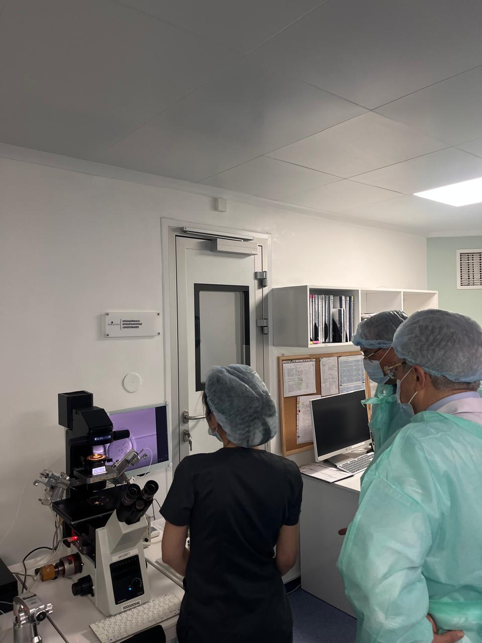 Изображение WhatsApp 2024-09-25 в 19.38.59_15cc08d0