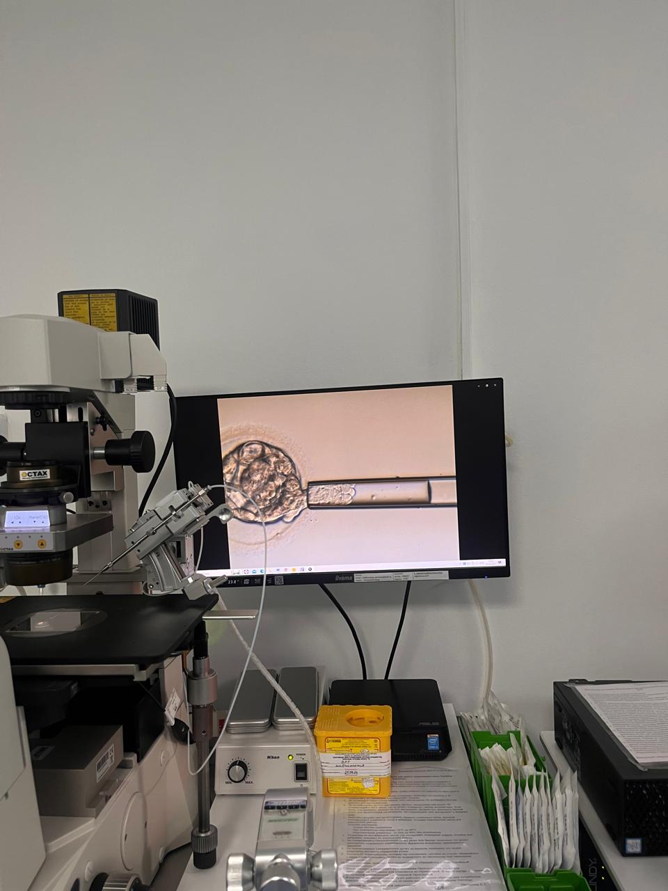 Изображение WhatsApp 2024-09-25 в 19.39.00_21dc625a