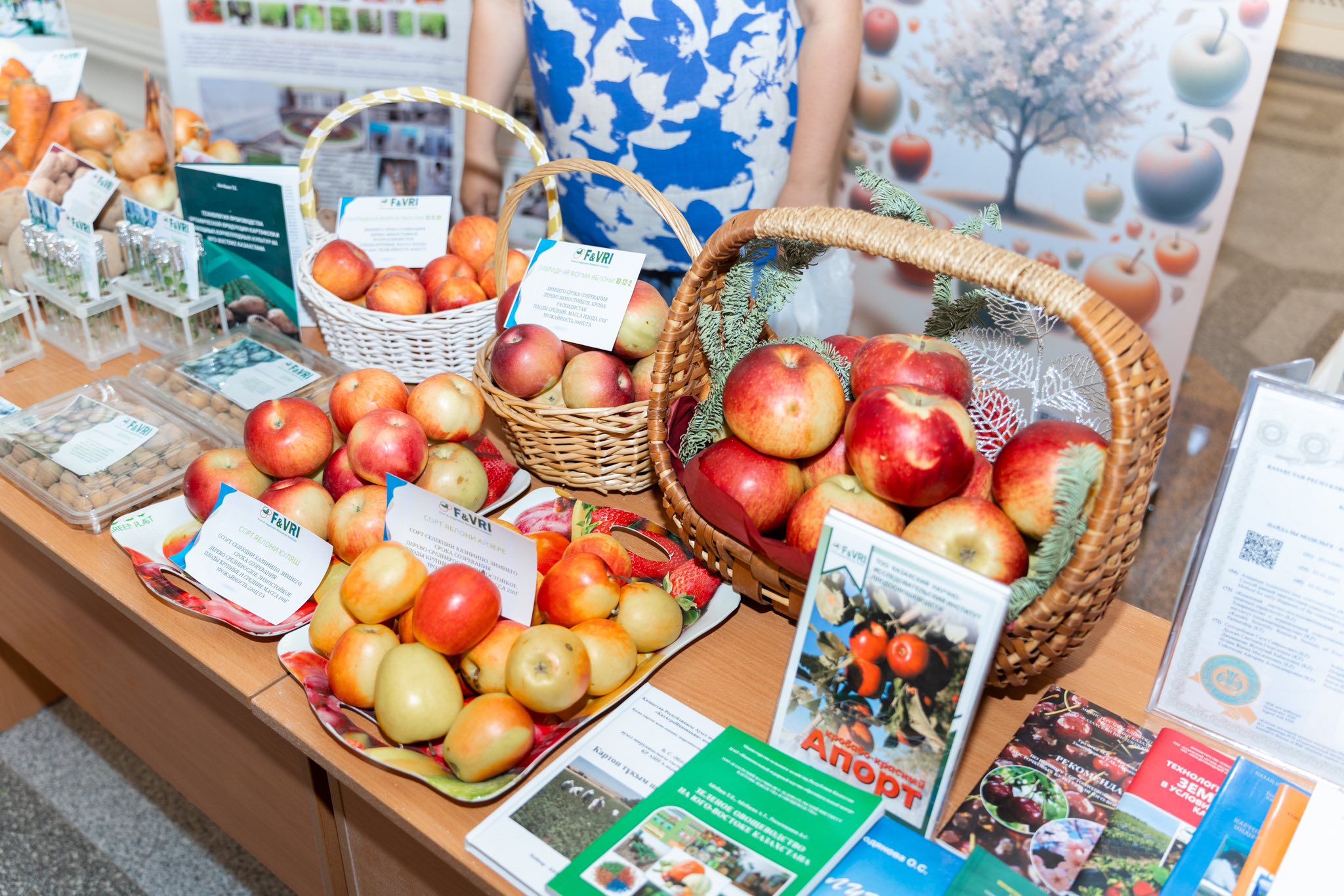 490126941_598282076580745_3331752326330102239_n