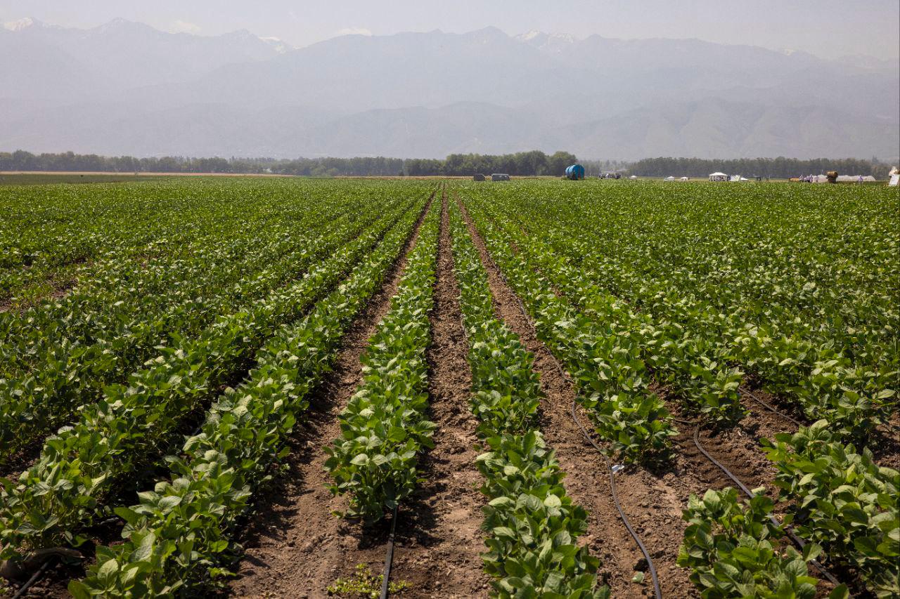 673b59d4-2a40-4856-800b-1a99d9e9c288