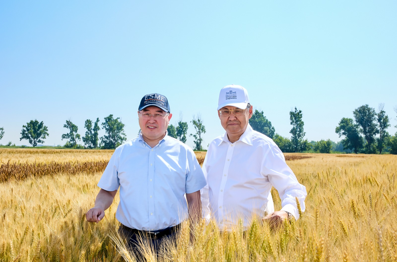 d2e77e53-79f1-4bc2-9a70-329e3c644182