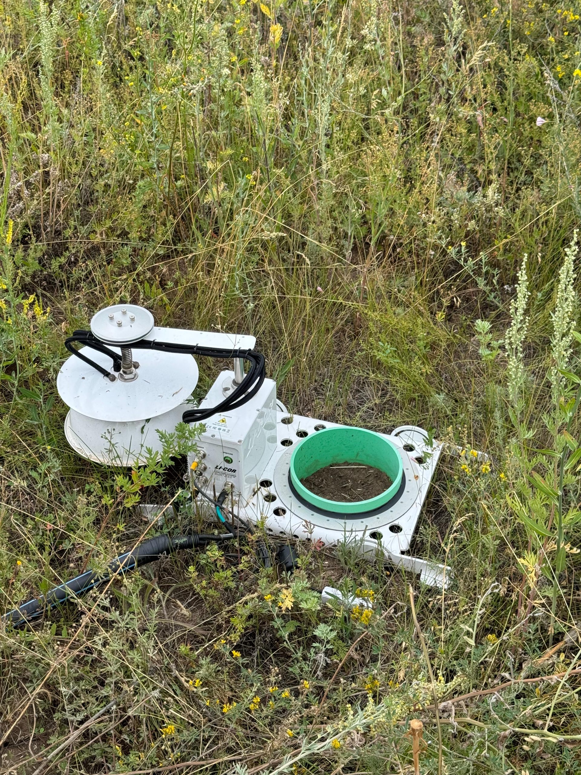 Изображение WhatsApp 2025-06-26 в 22.48.18_996dd157